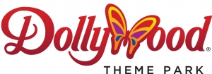 Dollywood Case Study - Matech